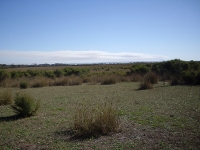 6_ridge11.jpg