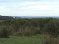 6_ridge5.jpg