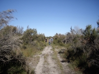 6_trail.jpg
